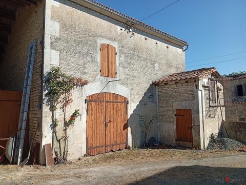 photo no. 11