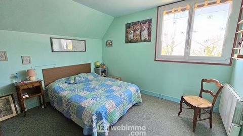 photo no. 12