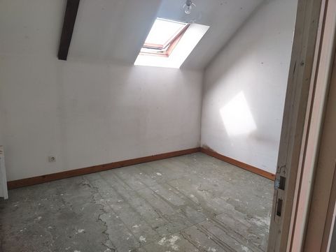 photo no. 2