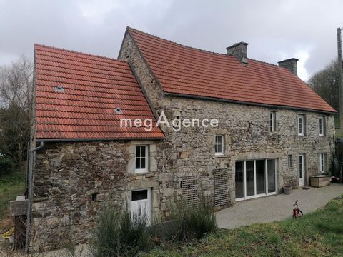photo no. 12
