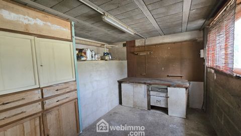 photo no. 12
