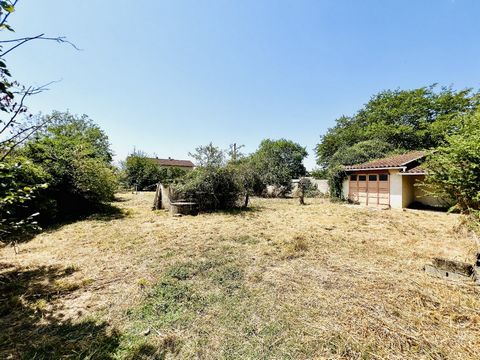 photo no. 2