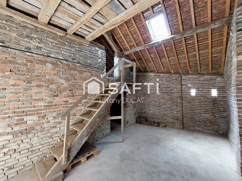 photo no. 17