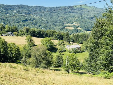 Ancien corps de ferme a rénover avec 6Ha de terre sur Massat 09320