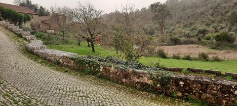 Este terreno fica localizado na Aldeia Do Vale, onde pode usufruir de um ambiente tranquilo e desfrutar de paisagens únicas, sendo a mais antiga aldeia habitada no concelho de Pombal, onde se tem vindo a recuperar algumas das casas mantendo o estilo ...