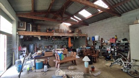 photo no. 12