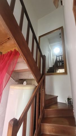 photo no. 11