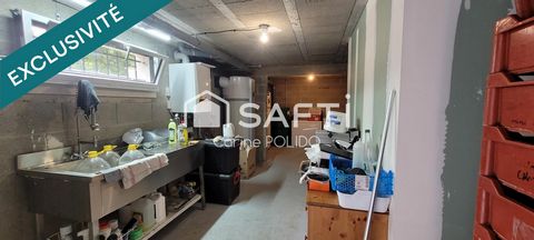 photo no. 12