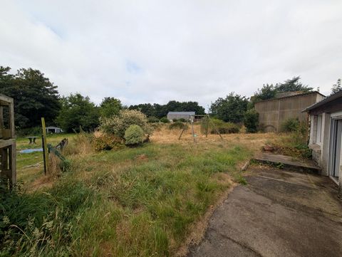 photo no. 8