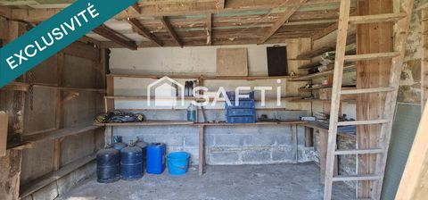photo no. 18