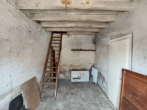 photo no. 11
