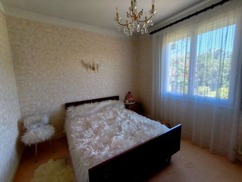 photo no. 9