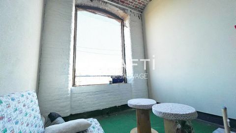photo no. 10