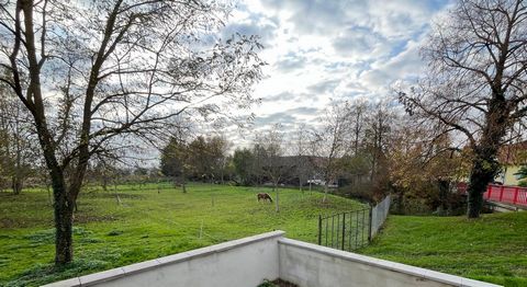 photo no. 4