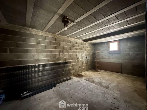 photo no. 12