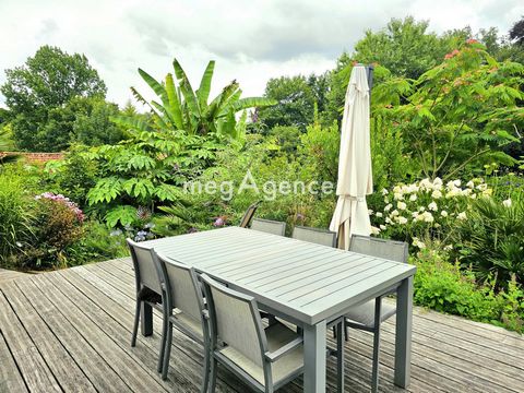 photo no. 11