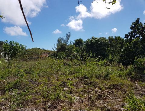 It is difficult to find a 1.5-acre lot, with good elevation in the middle of Nassau today. That is why ---Hidden Treasure--- located on the eastern boarder of Dannotage is such an attractive find. Being centrally located it provides easy access to sh...