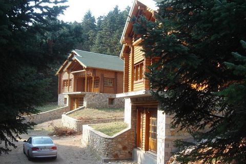 For sale a two chalets of ​​225 sq. m. each, located at “Dokano” area, Parnassos. In the heart of Parnassos mountain, inside to a “Natura” area of the mountain National Park, just one and a half hours away from Athens, and completely close to the win...