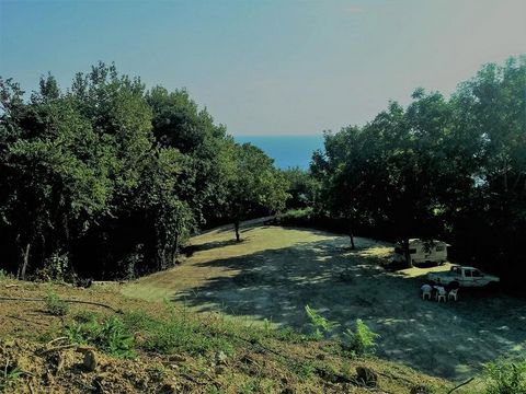 Pilion, Plaka. Te koop een bebouwbaar perceel van 6000 m². in het dorp Anilio in Oost-Pilion (dat behoort tot de gemeente Zagora en Mouresi), op slechts een korte afstand van de badplaats Ag. Ioannis, in Plaka locatie. De bebouwbare oppervlakte is 60...