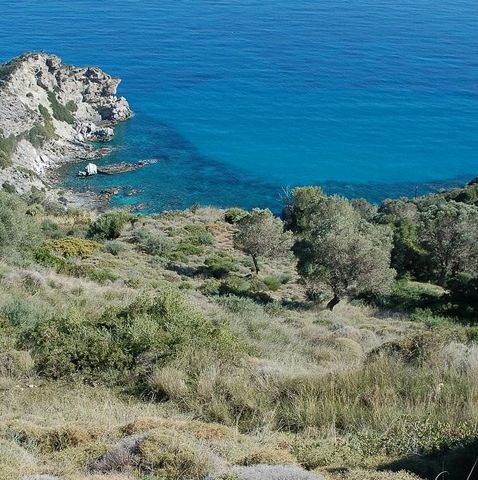 EVIA, Municipality of Avlonos, Korasida. For sale a plot of land of 3.030 sq.m., out of city plan, sloping, even, builds 400 sq.m electricity, water, free, panoramic views of the Aegean Sea, 700 meters from Korasida beach. Price 65,000 €