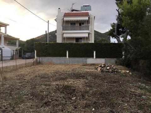 For sale a plot of 313 sq.m., within city plan in Nea Makri, Attica. Construction permit fot 225 sq.m.  The plot located  in a beautiful residential area, with nice neighboring villas and permanent residents. It is 1 km from the sea and the beach of ...