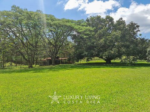 Finca Azteca This farm has a public street frontage of 186 m2, with regular topography, large green areas and pastures that allow cattle to be kept. It is located in the rural area of San Mateo where recreational farms and a large number of green far...