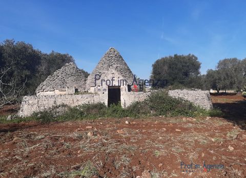 For sale interesting two-cone trullo to be renovated in the countryside of Latiano, located on beautiful flat land cultivated with olive trees. Possibility of an extension of about 70 sqm and the construction of a swimming pool of 40 sqm. Location in...
