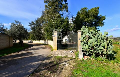 GALATINA - LECCE - SALENTO Bara 3 km från staden Galatina, i Contrada Masseria Preti, är Coldwell Banker glada över att kunna erbjuda till försäljning bottenvåningen i en gammal historisk bostad med en omgivande trädgård på cirka 1 000 kvm. En elegan...