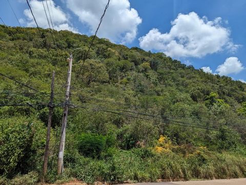 Golden Acres is part of the general Red Hills area. This land is irregular in shape and slopes above road level. this 1.45 acres is ideal for development.