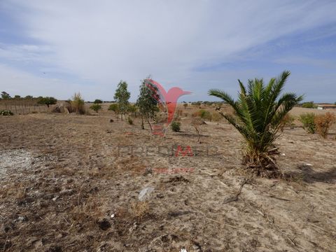 Rustic land with natural water well and with a total area of 4750m2 for arable cultivation. The land is located in the beautiful village of Pias, which is between Serpa and Moura, 20 minutes from the Alqueva dam. If you would like more information ab...