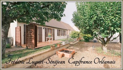 Dpt Loiret (45), à vendre SAINT JEAN DE BRAYE maison de plain-pied P4 avec très joli jardin arboré