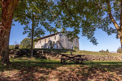 The property is located on the Alfina plateau, between the Orvieto cliff and Lake Bolsena. Fattoria Palombaro is an agricultural company made up of an old stone farmhouse, recently renovated, an annex and a riding school with around 15 hectares of la...