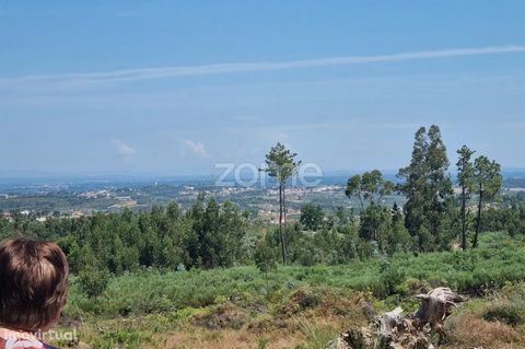 Property ID: ZMPT558536 Cultivated land with olive trees, fruit trees, vines and pine forest. Also ideal for grazing. Good sun exposure with unobstructed views. It has a well with drinking water. Possibility of company water and electricity within th...