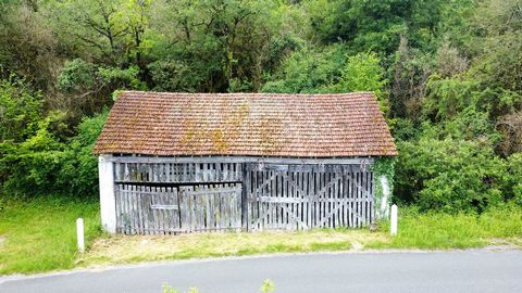 photo no. 11