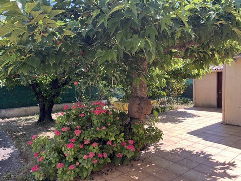 photo no. 18