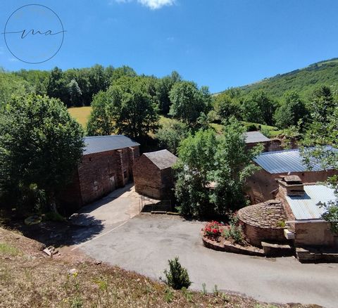 Magnifique opportunité !! A proximité de Saint Sever du Moustier à 17 km de Lacaune ou de Belmont , dans le parc naturel  régional des grands causse , un domaine s'érige sur 3600 m2 clos sur un petit cours d'eau dans un écrin de verdure exceptionnel ...