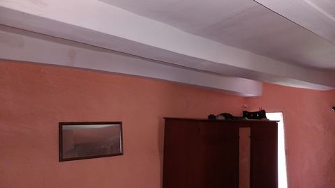 photo no. 18