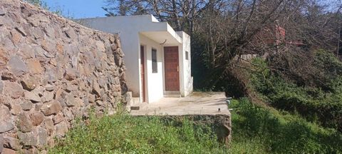 Dit rustieke perceel in de stad Tacoronte op Tenerife is een waar natuurparadijs dat een perfecte combinatie biedt van landschappelijke schoonheid en functionaliteit. Dit perceel is verdeeld in drie duidelijk afgebakende gebieden, elk met zijn eigen ...