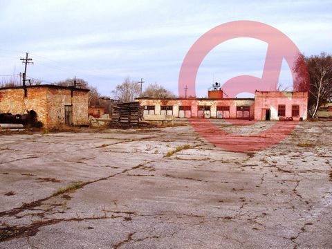 Предлагаем в аренду производственно-складские помещения 1083 квм и асфальтированную площадку 67,5 сотки на производственной базе. Высота основного строения 5 метров Участок площадью огорожен. Коммуникации: электричество 200 кВт. Отопления нет, предыд...