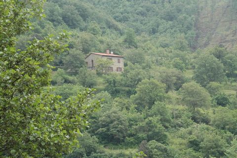 Midden in de groene heuvels van Toscane ligt Casa Le Lole (ca. 100 m²) voor 5 personen, vrij gelegen tegen een helling met uitzicht op Talla!