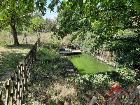 PIERRECOURT in een rustig dorp OP ZIJN 55 zijn van grond en zijn meerdere bijgebouwen, waaronder een kasteel dat volledig moet worden gerehabiliteerd. Dit stenen huis biedt een entree, een ingerichte keuken, een grote woonkamer, 4 slaapkamers, een ba...