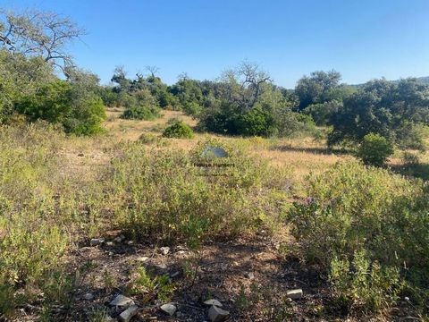 Rustic terrain | St. Clement's | Loulé Rustic land with an area of 4960m2, located a few minutes from the city center of Loulé, in a very quiet and beautiful area in the middle of nature. The land is flat, surrounded with a stone wall. With electrici...