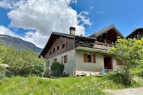 Dans maison de pays, grand appartement de 157 m2 situé en R.D.J avec jardin attenant exposé ouest et terrasse bois. Le bien se compose d'une belle entrée avec rangement, d'une grande cuisine équipée avec coin repas, d'un beau salon avec accès terrass...