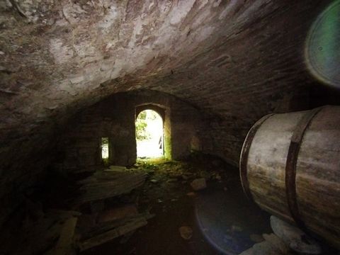 photo no. 16