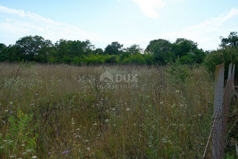 Location: Zadarska županija, Poličnik, Murvica. ZADAR, MURVICA - Ideal building land in a natural environment in Murvica Perfect building land for sale in Murvica, surface area 2667 m2, ideal for building your villa with a swimming pool or a cottage ...