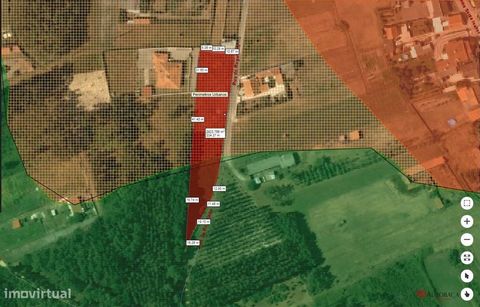 Doskonała zurbanizowana działka w Burinhosa, Pataias Bardzo słonecznie w bardzo cichej okolicy. O powierzchni ponad 2640 m² (około 2100 m² w obszarze zurbanizowanym) jest otoczony drogą, co pozwala na budowę jednego lub więcej domów (osiedle zamknięt...