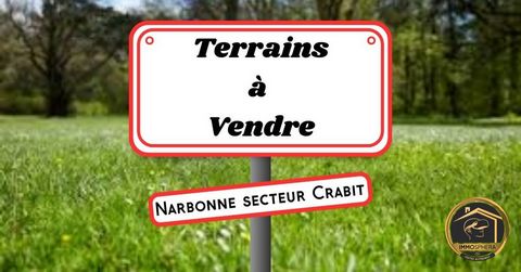 Terreno disponibile a Narbonne: Narbonne gode di una posizione geografica privilegiata. Si irradia intorno a grandi agglomerati urbani (Perpignan, Montpellier, Tolosa). È idealmente servita dai mezzi di trasporto: aeroporto, stazione TGV e autostrade...