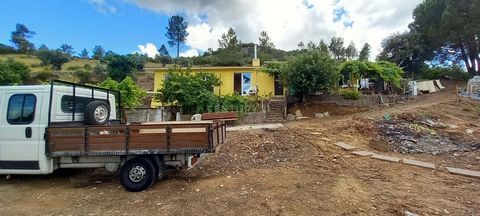 Ferme de 28 750 m2 située à Portas de Rodão, bien qu'elle soit située à Vila Velha de Rodão, elle appartient à la paroisse de Santana de Nisa. Avec une vue imprenable sur le fleuve Tage et les portes de Rodão. Cette ferme se compose de plusieurs terr...