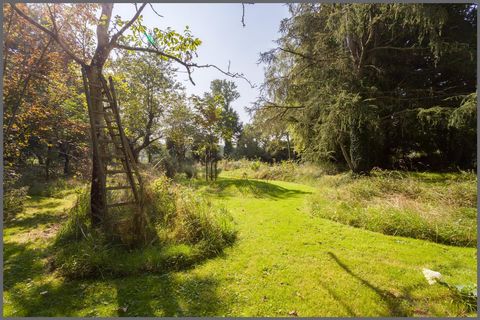photo no. 16