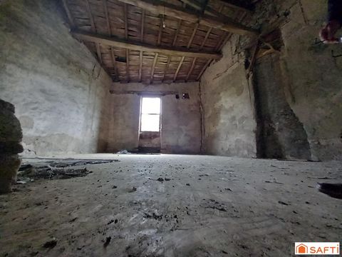 photo no. 10